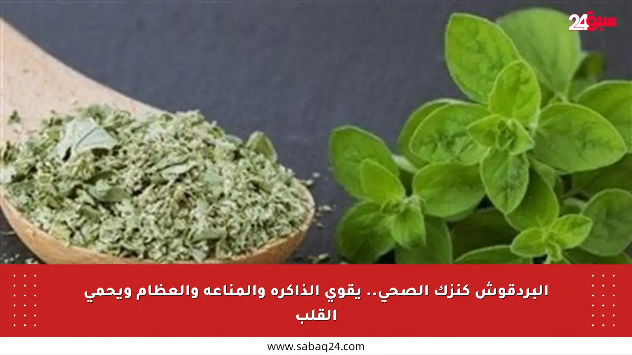 البردقوش كنزك الصحي.. يقوي الذاكرة والمناعة والعظام ويحمي القلب